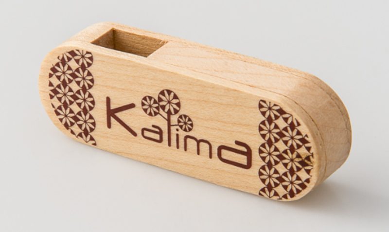 custom-shaped-usb-flash-drive-design-for-unique-branding