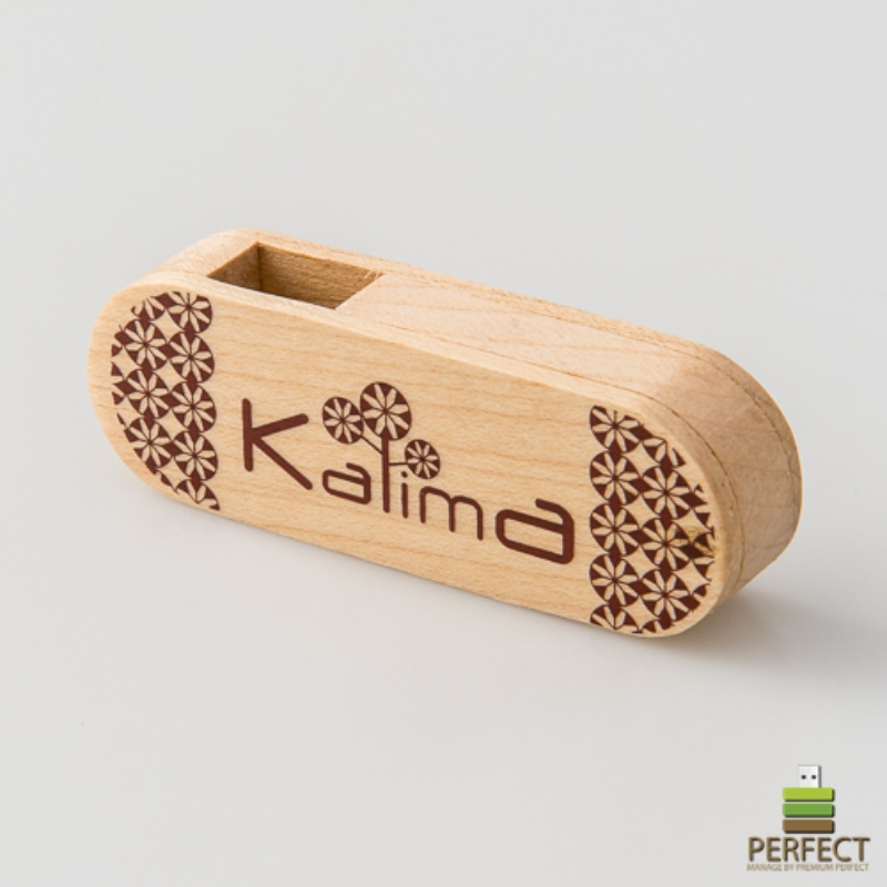 custom-shaped-usb-flash-drive-design-for-unique-branding