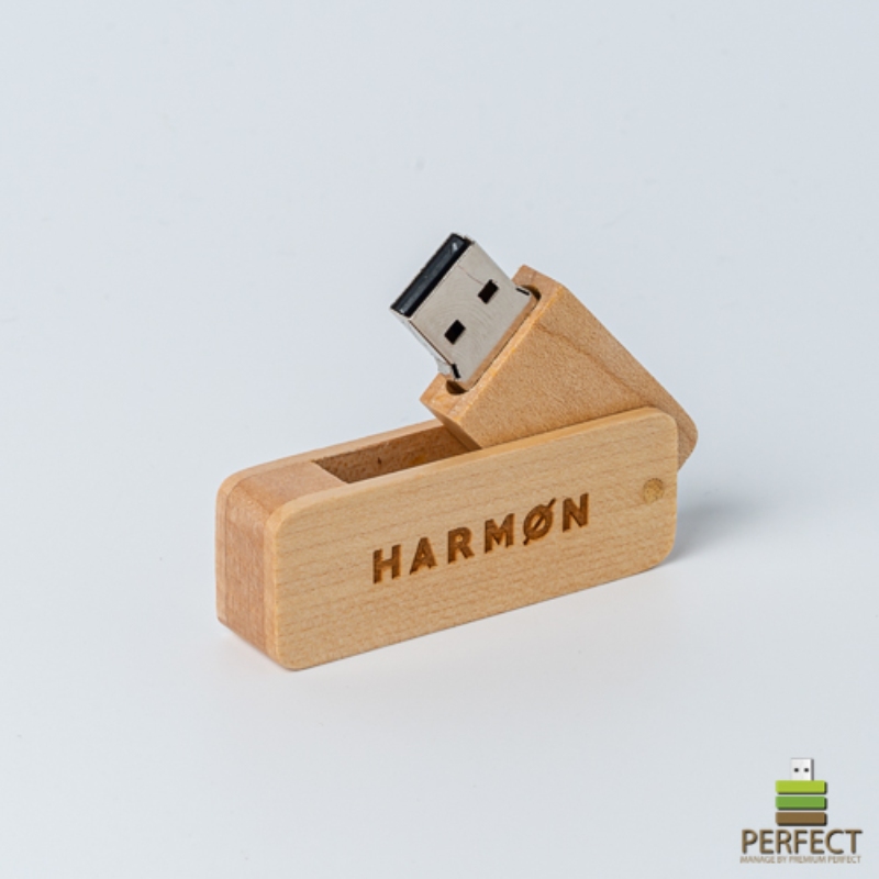 best-usb-flash-drive-for-students-and-professionals