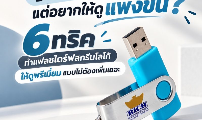premium-logo-flash-drive-on-budget